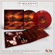IN_Mourning_Afterglow-Picture-trans-LP-vis-(light-color).jpg